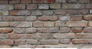 Photo Texture of Brick 0025
